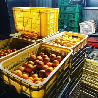 年に一度の光景🧑🌾🍊...