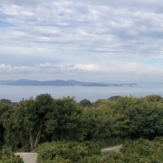 アボカドの収穫へ🥑...