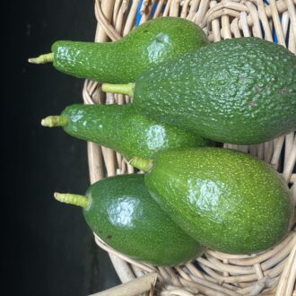 贅沢な4種食べ比べ🥑...