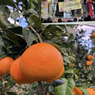 M-1優勝おめでとうセール🎊✨...