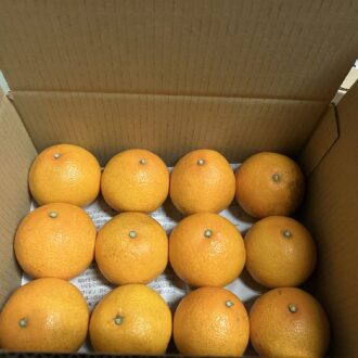 こんな感じで送っています🍊📦...