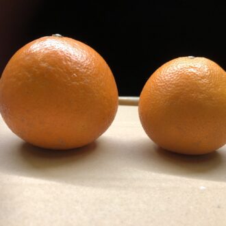 いよいよ終わりが近づいてきました🍊...