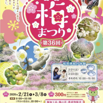七折梅まつりは2月21日(土)〜🌸