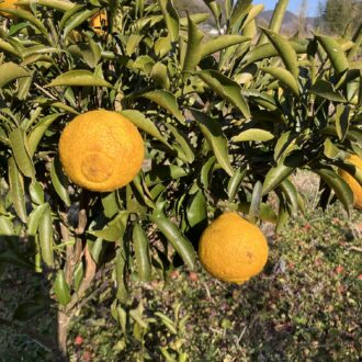 はるかちゃんも少しだけ✨