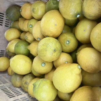 レモン残り僅かとなりました🍋