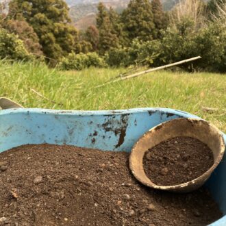 肥料もこれから🧑‍🌾
